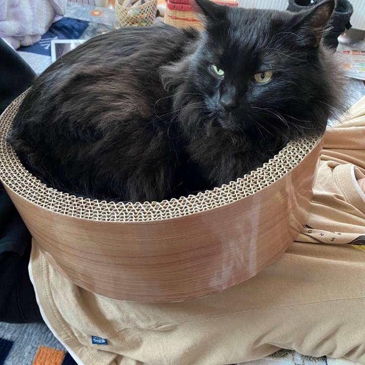 6e6de3d3 a557 40f2 bc8f d3a77e4b5d55 1581733898743