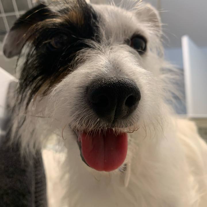 6e6dee0a 9af8 4c35 bfab 87321955068d 1627948494752