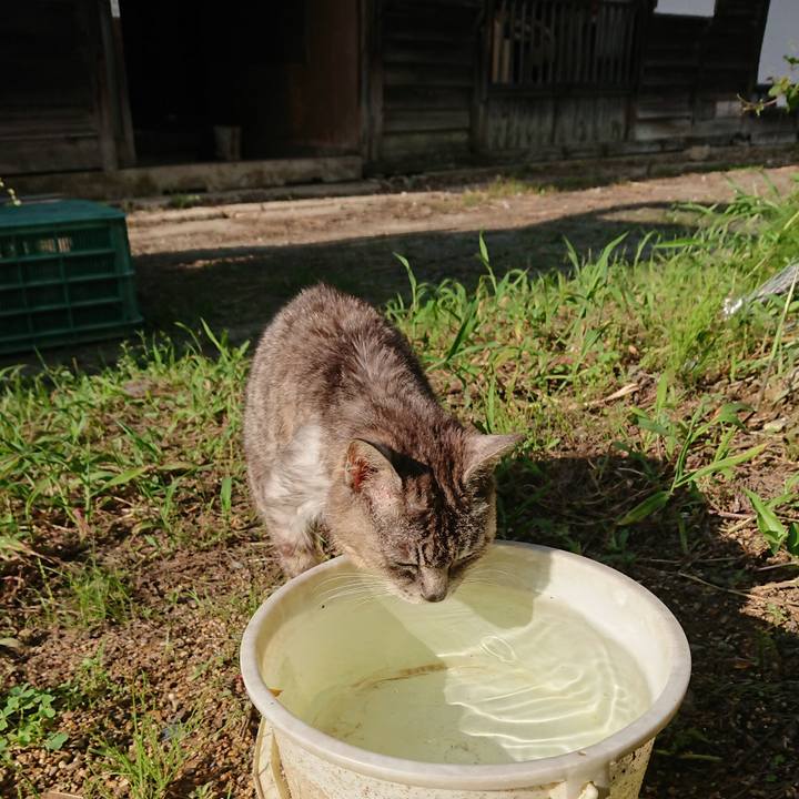 6e6e1887 b87e 4631 bd7a e106b100c8b0 1596352618742