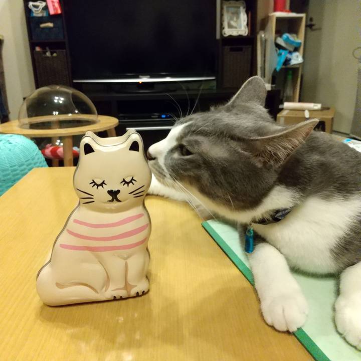 6e6eb938 bcd7 437f a5d3 a38dead91419 1613816360430