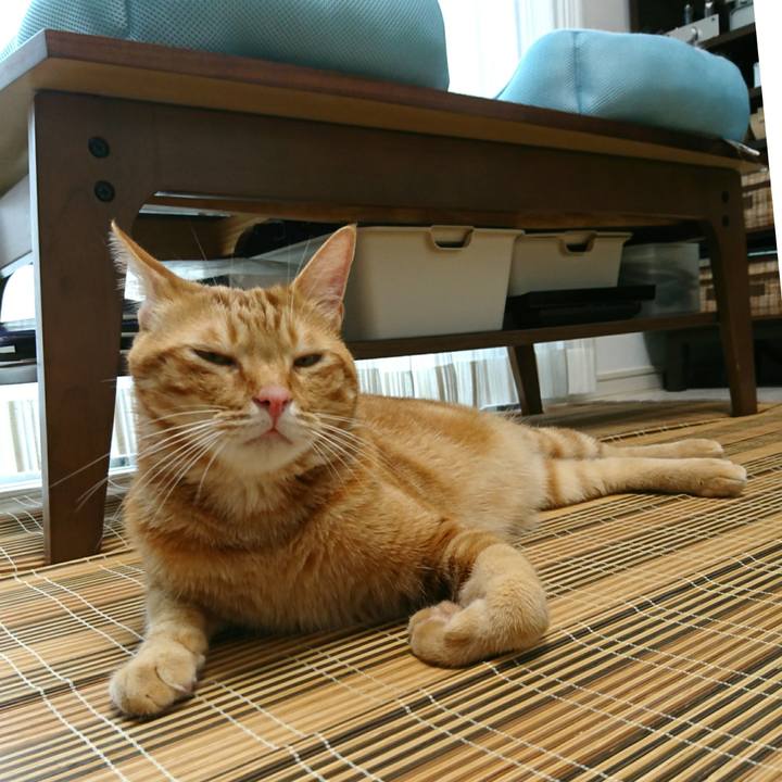 6e6ebd11 d783 4b37 913d 02683c2000a7 1530142480478