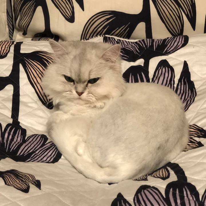 6e6f4691 ccb6 4a9e 99e1 bf9dbfa21491 1590071583078