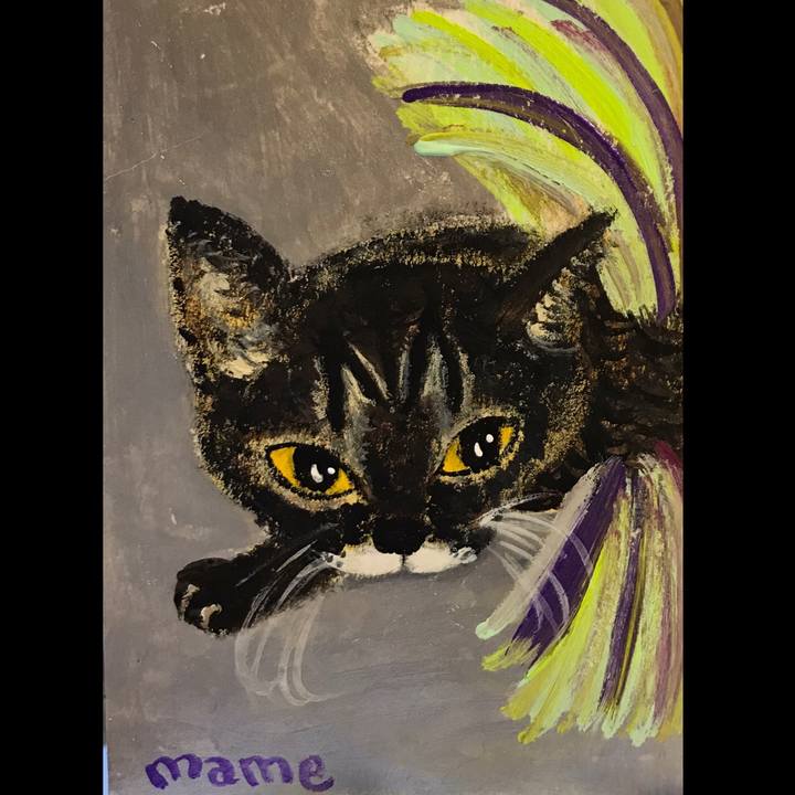 6e6fc501 8f2c 4b00 aa33 5f74dc8ba7fd 1584113104439