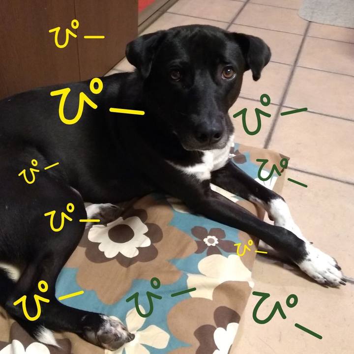 6e6fe3e9 6fbc 4e54 a255 33239bf04254 1603794475407