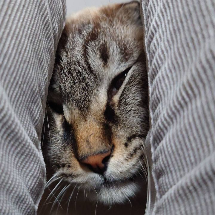 6e701846 8cd9 4014 b5ed 17b531e78b0d 1736507627141