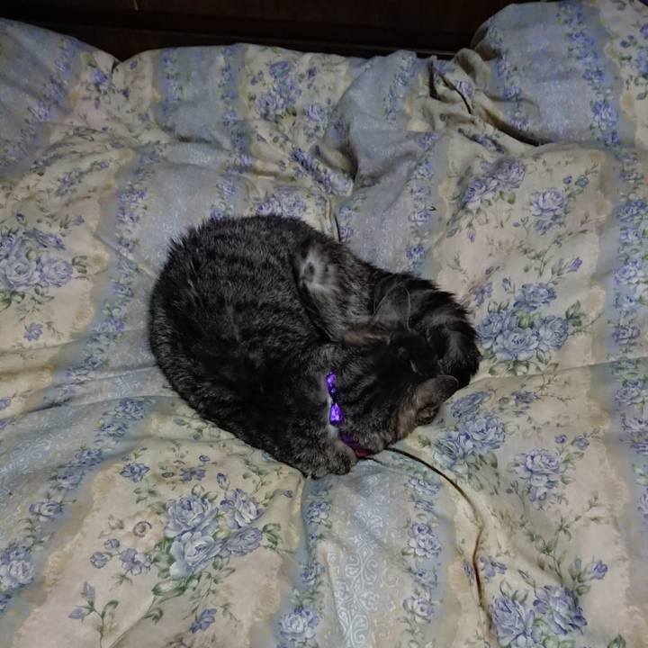 6e701c86 5716 4b72 bf36 12376583d010 1578829306841