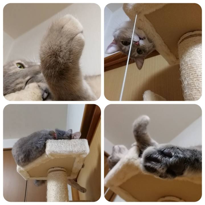 6e70303d 867b 4df2 a04e 4b0e75fef6b3 1536887593127