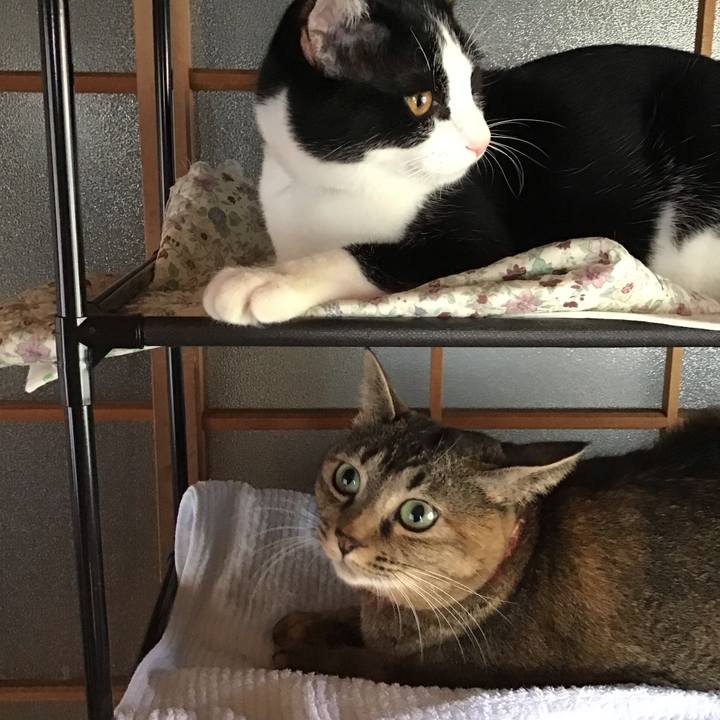 6e703977 275b 4efa 808f ff02b0d9c3e9 1636517232784