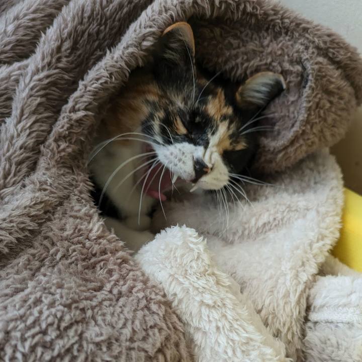 6e70461a 8453 43f8 8404 34b042cf406a 1710129141625