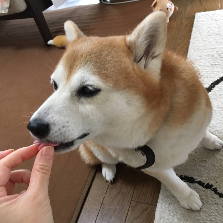 6e704d95 fee2 42ee 8b3b aab6d589fbae 1532847367704