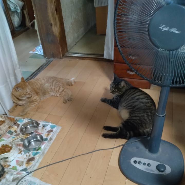 6e70c213 4a12 4e89 8fda 4608b172ebe8 1691143478744