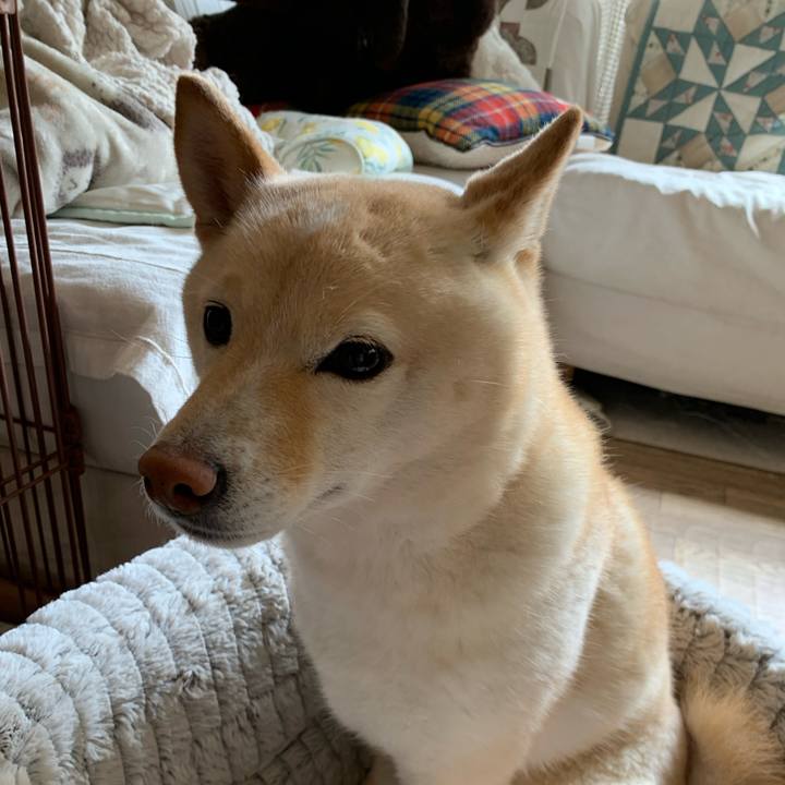 6e70d0bc 5e11 4e0b af80 97013b0713c8 1649127051392