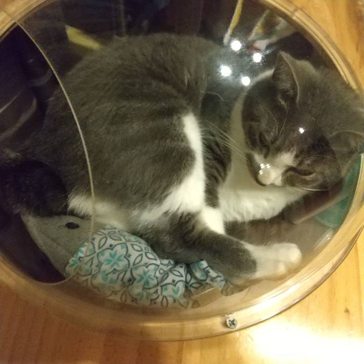 6e70d68a 5502 4e72 9d31 d78c0386d727 1625057861526