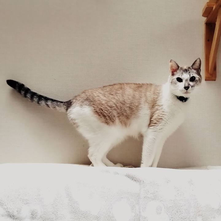 6e70e5fb 1604 445b bbd2 a6958e73d2a6 1576843489076