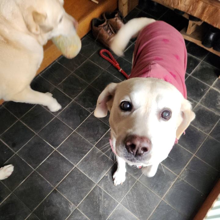 6e71035a d39b 448d b29d 7c5126931d90 1734079169675