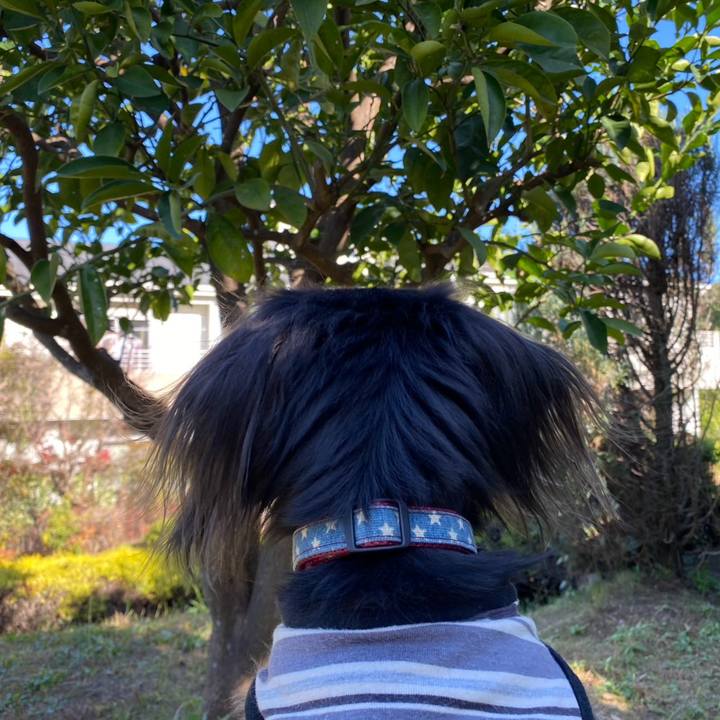 6e71050a c89a 42b8 8e13 3e75618d4857 1764395199627