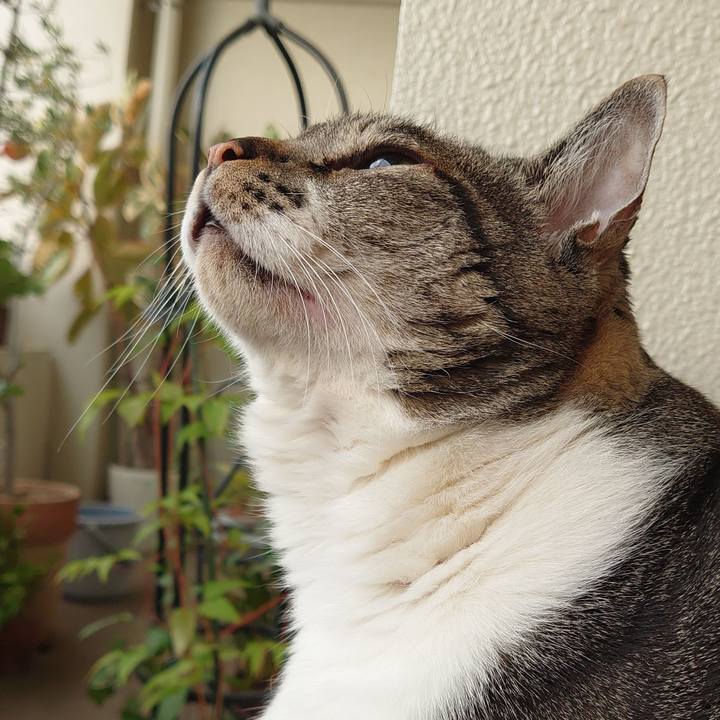 6e71104e 6379 4607 b540 836ad3c0d6dd 1627343769662