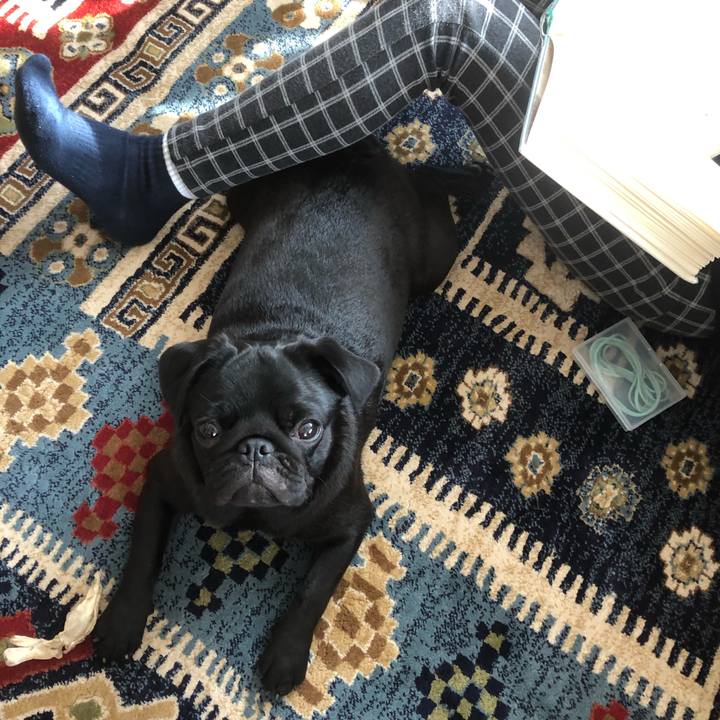 6e712400 1502 4bc4 8048 91ec95b8833f 1607946097316