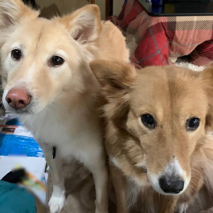 6e713d65 d751 448b 8699 7862fd0450af 1611415063630