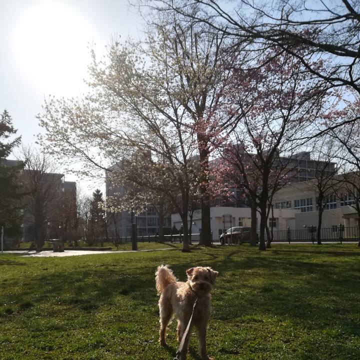 6e7144f6 7ebd 473a 9cc7 e6b838c7edd0 1556490660094