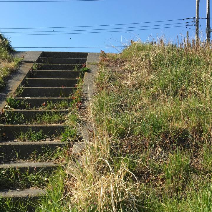 6e71c037 abee 4ccd af76 4fda0cb5a7ed 1554254588080