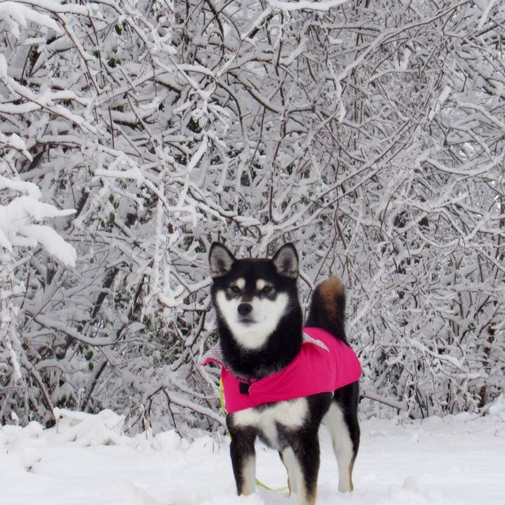 6e71ef34 298c 4cdf b5e1 35b222982bd1 1548460251358