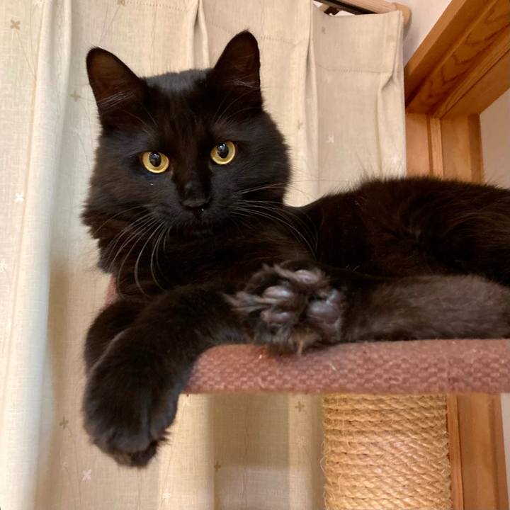 6e71efe3 5956 4513 81f4 dc5bca4c864e 1721988520849