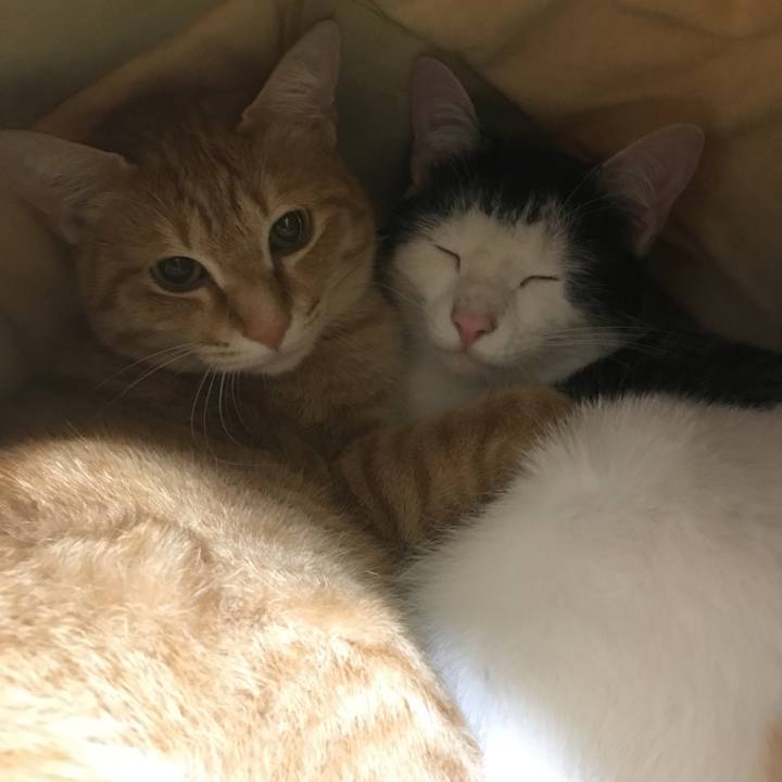 6e71ff0b 62b7 4331 a6b5 562137a1de18 1521816120066