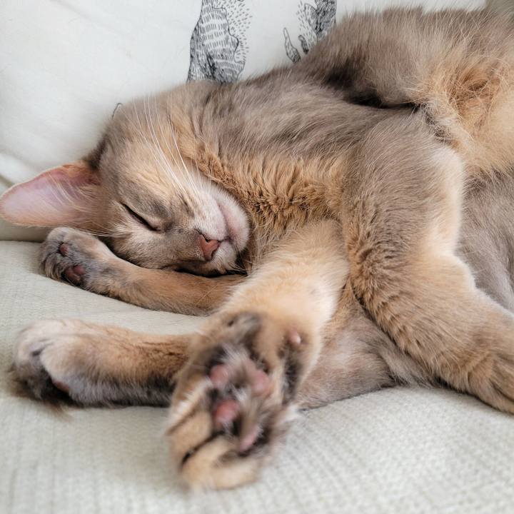 6e7223b6 79f1 46b6 9244 d06bb943be85 1666163922815