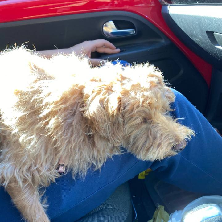 6e72835d 3d68 4189 9caa 50fffd4ed169 1635562388455