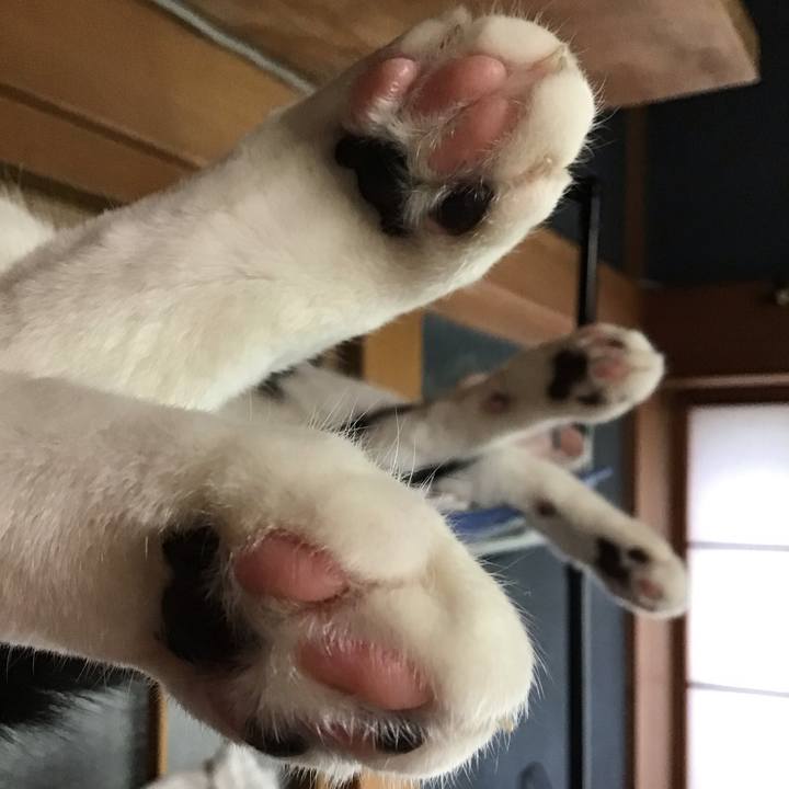 6e72ad4f 6af5 4f03 a245 66a3481b1370 1718089269489