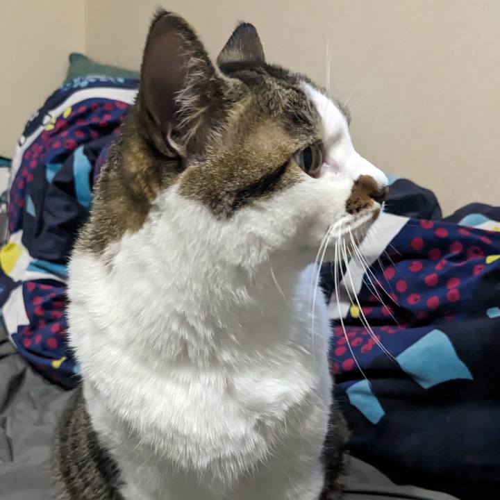 6e72f90b cee8 4be5 aa8f f2d0673740f6 1689582898250