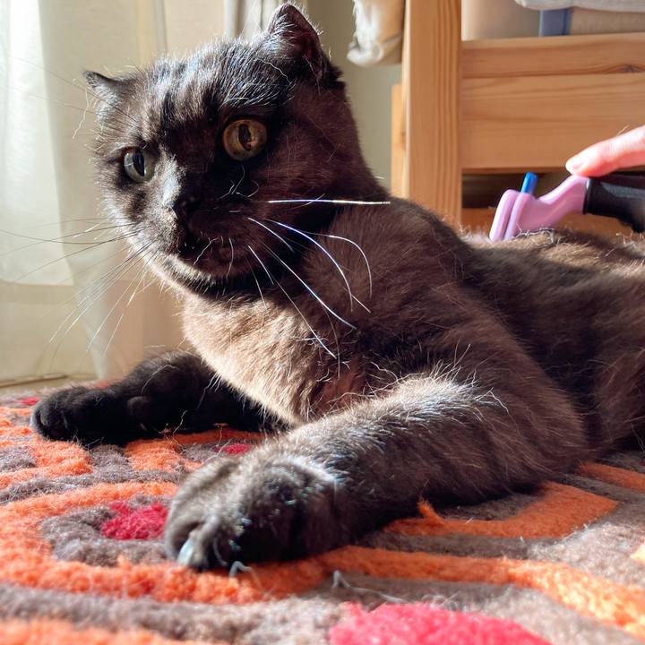 6e7317ad 1fc0 42d6 ae13 0811f1b659a7 1589703980094