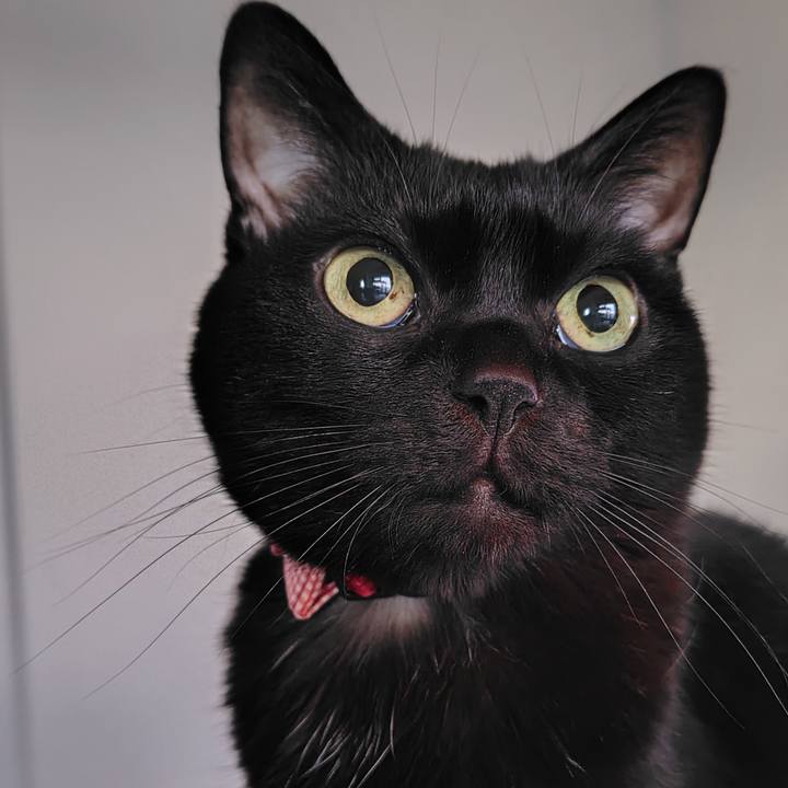 6e736d52 36d5 4eb4 81c3 0329bbea8c2e 1766701185500