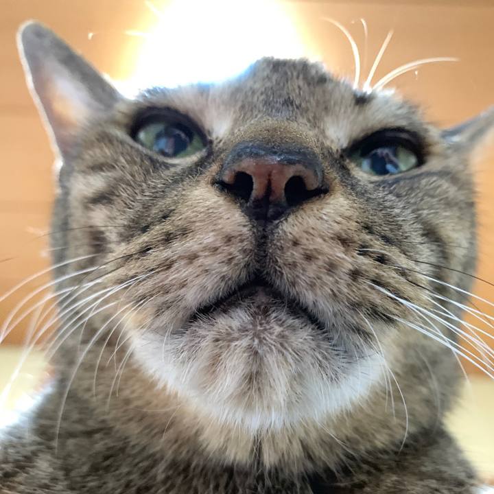 6e7370e1 c7e4 4ae0 b919 8378f4c75187 1566604478155