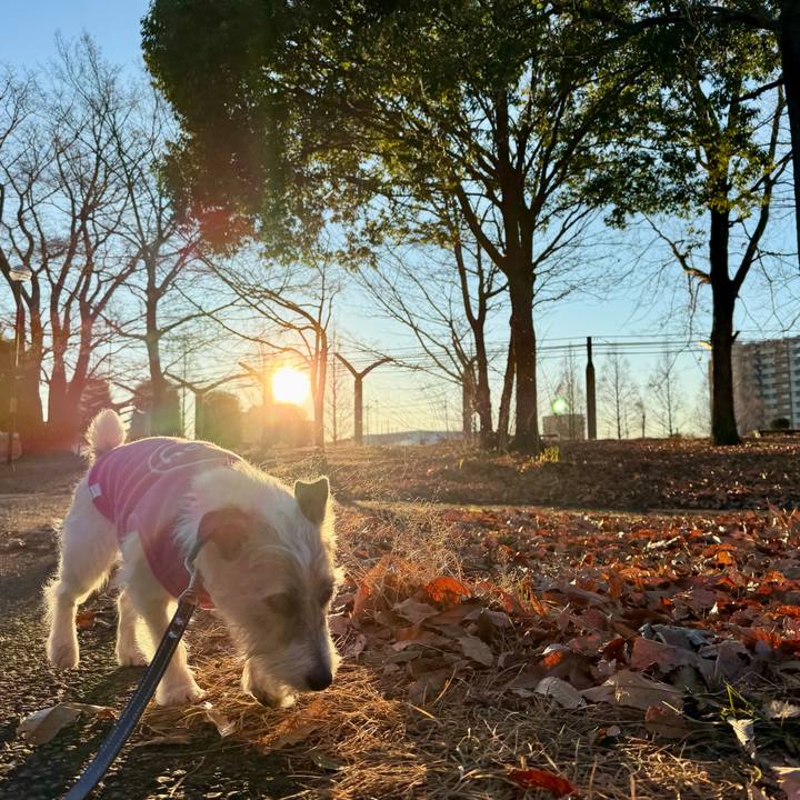 6e73ea67 1081 41f9 8c2e ec70e2a5fbf2 1768249092355