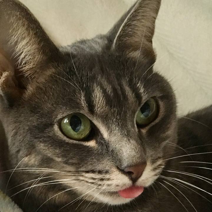 6e7425a7 1c86 4ace a3a9 c0f9c7754278 1541227772972