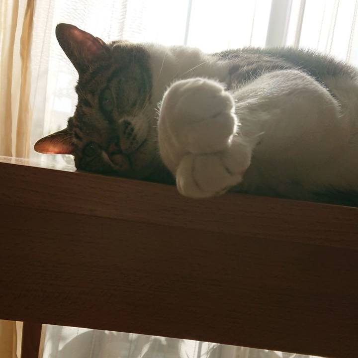 6e743d60 4c12 409f 8954 5249ac1717ac 1538089389253