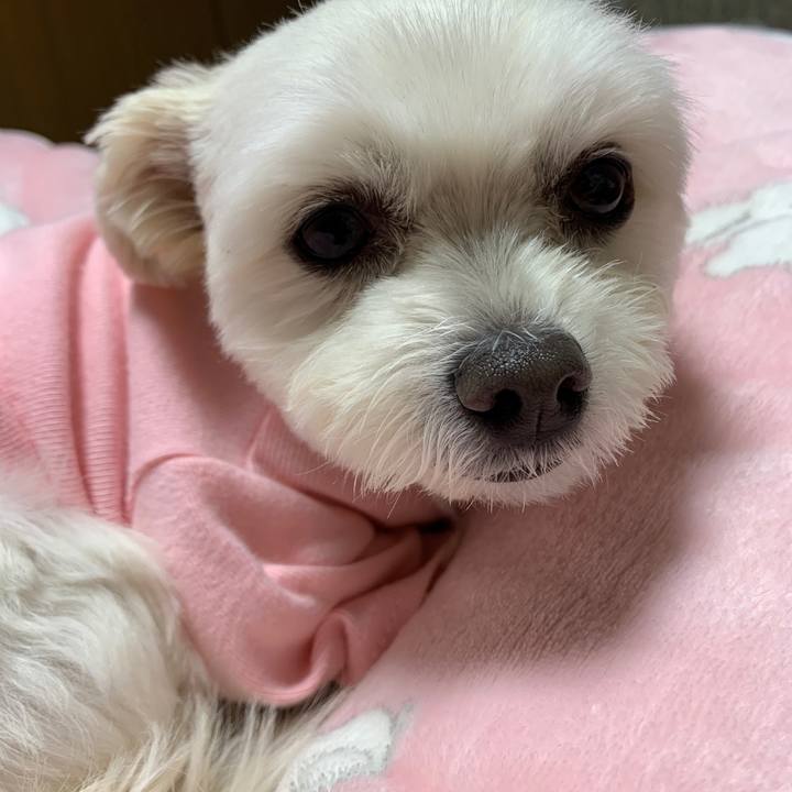 6e7473c7 64e7 4067 b297 8bb6ea3b4c9f 1610024144650