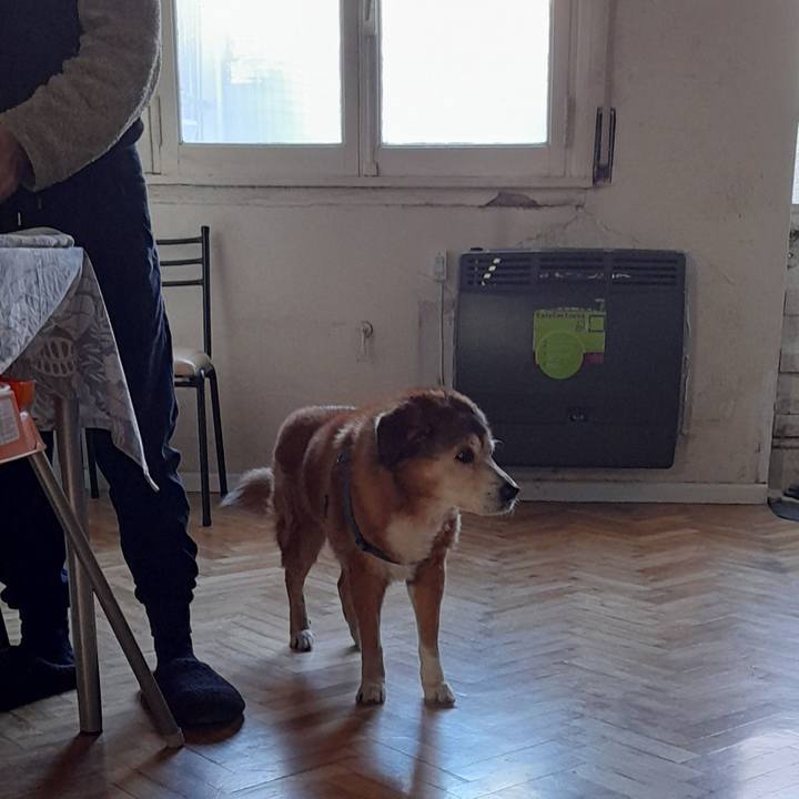 6e74a215 23ff 4efd 98fe 205ea2733df6 1757297548809