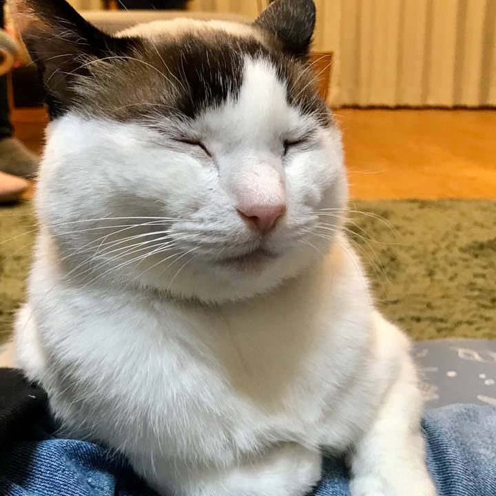 6e74a771 fee3 41db 9384 77cd61844a50 1584858244416