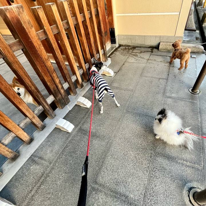 6e74b3f2 fd79 40d4 88a8 eb2ac4ea9cba 1650190346426