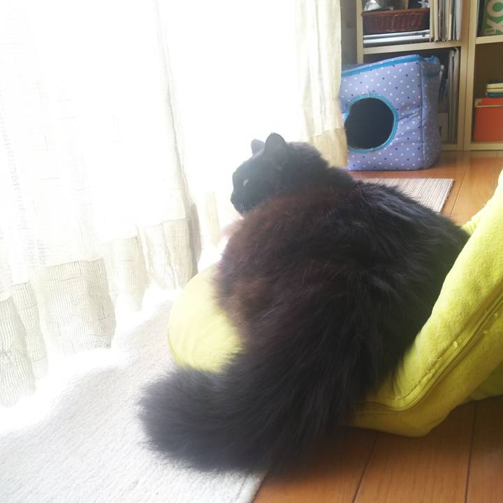 6e74bca1 ee0c 4994 9da6 217c154d7022 1573688106136