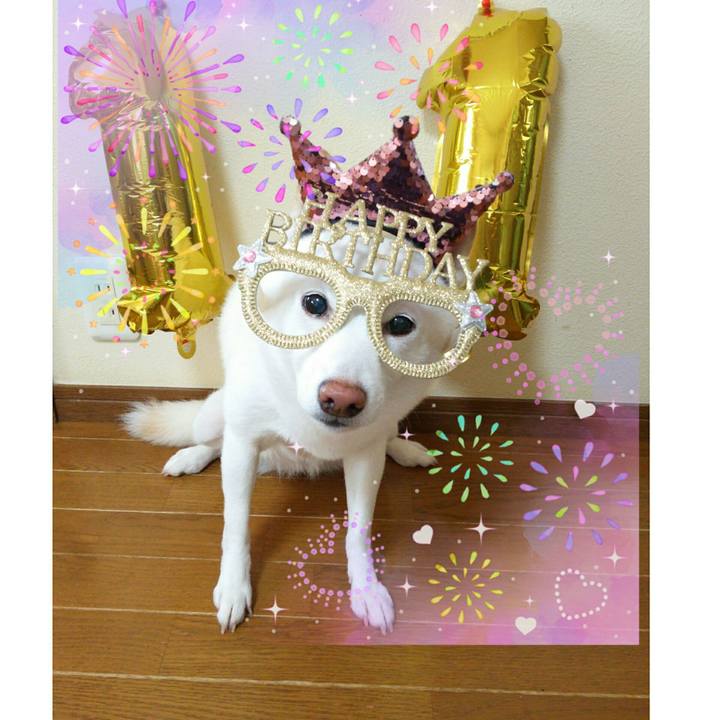 6e74c5fc cac5 4a9a 9fe4 70d40eb3c070 1625619876863