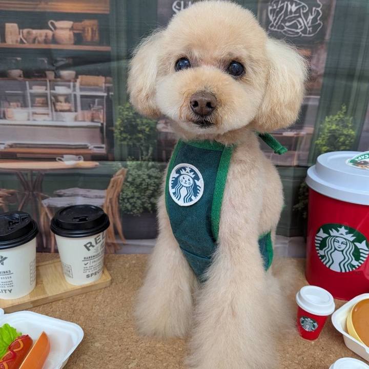 6e74dccf 4242 410d b5ef 04a9874a2159 1773242919798