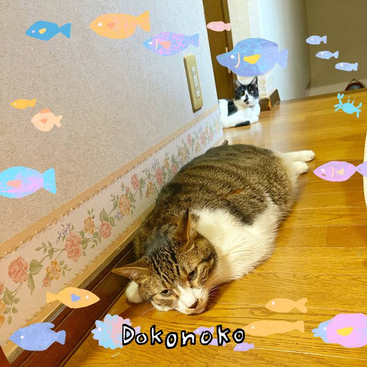 6e7540ca 266f 428f 8d9c ec36a2d2d911 1755211849055