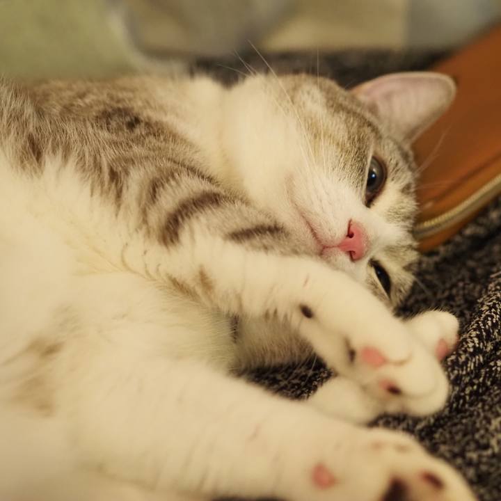 6e757910 6634 475d a83a 119d4cfc9370 1626612081216