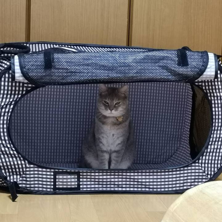 6e75a095 96ea 42f1 ad17 4eeeaa3957cf 1572321758948