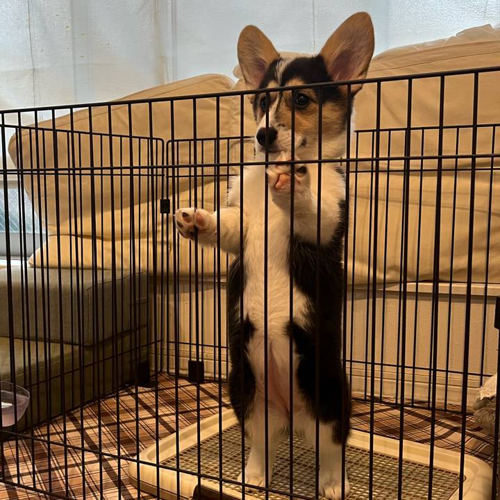 6e75d838 9217 49ac b4fa e7777232ba4a 1770776866584