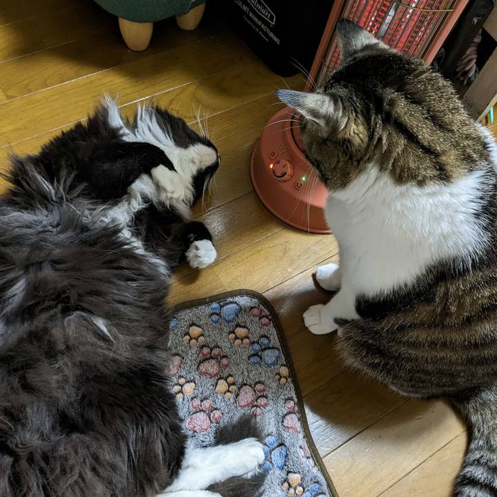 6e75dccd 54f4 4e34 aed3 ece2fa1a9578 1674337028207